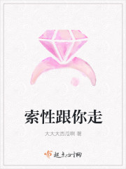 索性跟你走封面