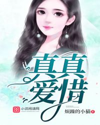真真爱惜封面