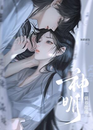 神明驯养指南封面