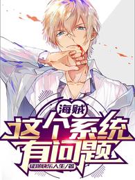 海贼：这个系统有问题封面