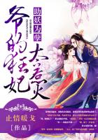 助妖为孽：爷的狂妃太妖娆封面