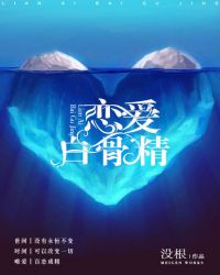 单身贵族进化史封面
