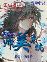 帅美系统封面