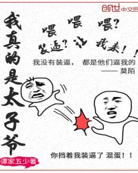 我真的是太子爷封面