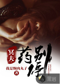 冥夫药别停封面