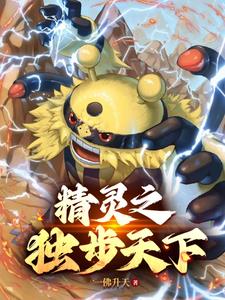 精灵宝可梦之登神长街封面