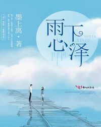 雨下心泽封面