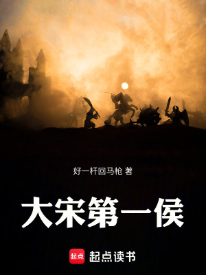 大宋第一侯封面