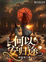 何以安归途封面