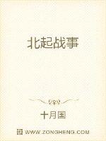 北起战事封面