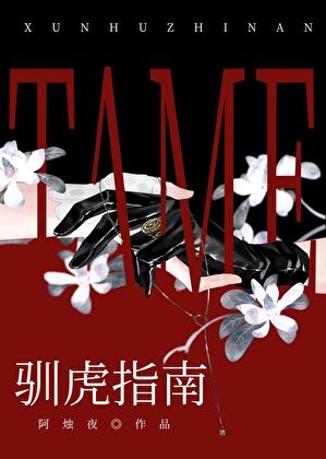 驯虎指南[gb]封面