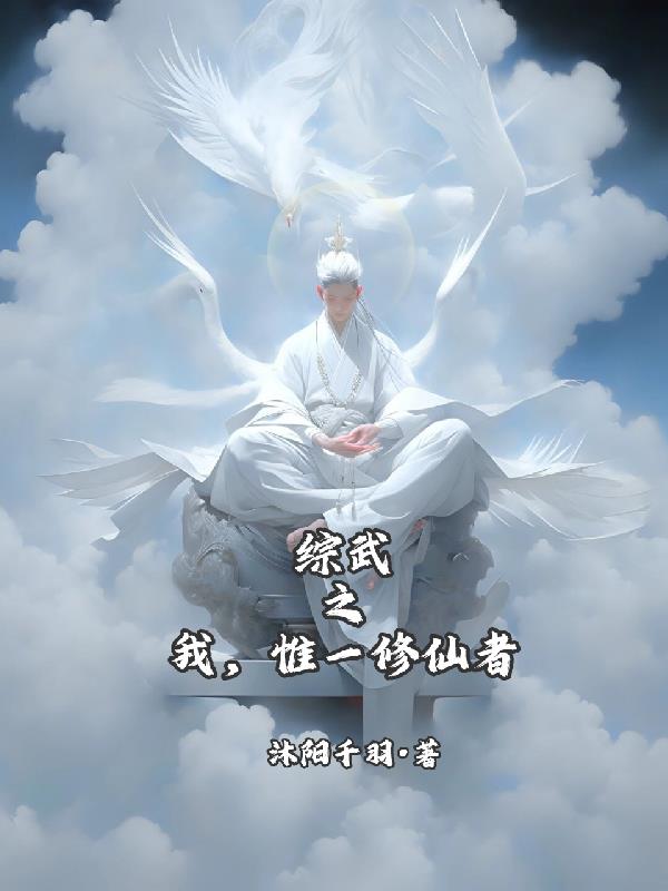 综武之我，唯一修仙者封面
