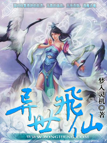 异世飞仙封面
