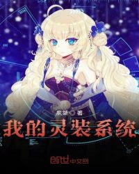 我的灵装系统封面