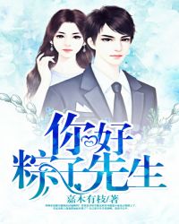 你好,粽子先生封面