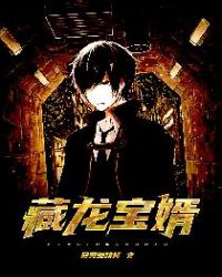 藏龙宝婿封面