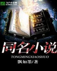 同名小说封面