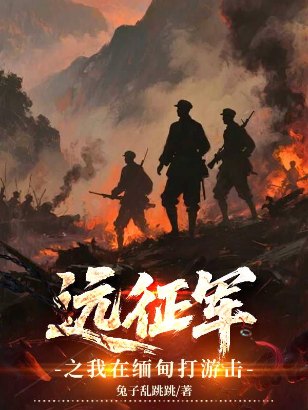 远征军之我在缅甸打游击封面