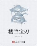 楼兰宝刃封面