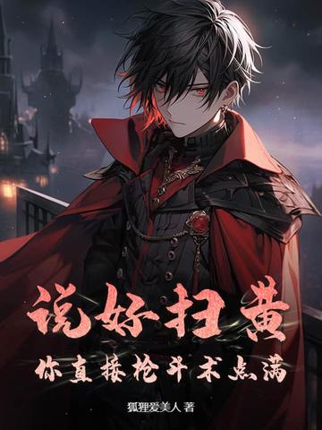 说好扫黄?你直接枪斗术点满!封面