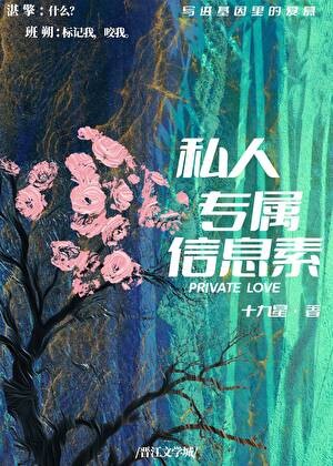私人专属信息素封面