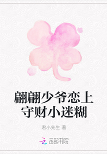翩翩少爷恋上守财小迷糊封面