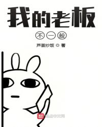 我的老板不一般封面