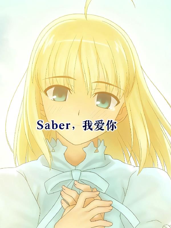 saber，我爱你封面