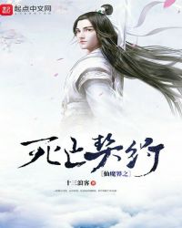 仙魔界之死亡契约封面