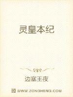 灵皇本纪封面