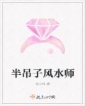 半吊子风水师封面