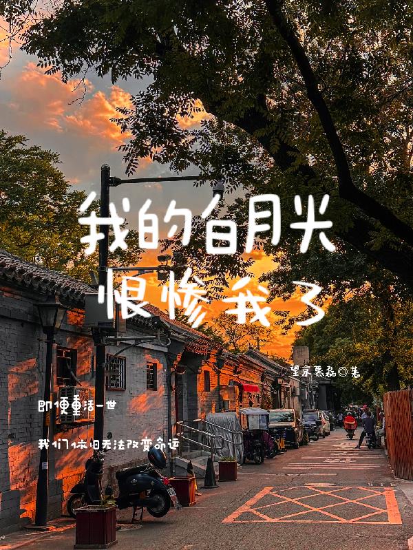 张云雷：我的白月光恨惨我了封面