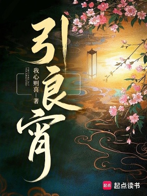 引良宵封面