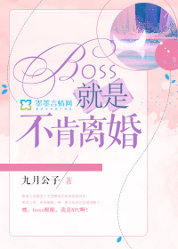 boss就是不肯离婚封面