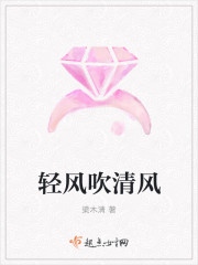 轻风吹清风封面