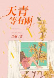 天青等有雨封面
