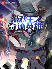 游戏王之奇迹英雄封面