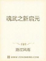 魂武之新启元封面