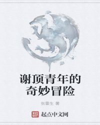 谢顶青年的奇妙冒险封面