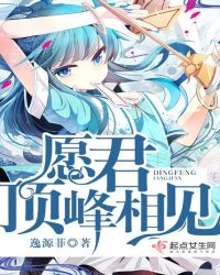 愿君顶峰相见封面