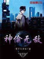 神偷无敌封面