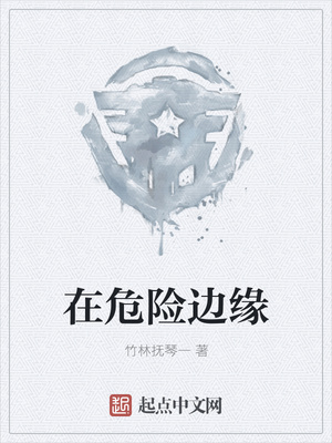 在危险边缘封面