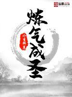 炼气成圣封面