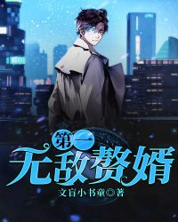 第一无敌赘婿封面