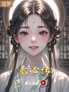 素心传封面