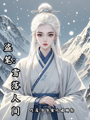 盗墓之雪落人间封面