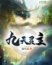 九天灵主封面