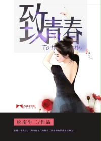 致青春封面