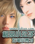 极品小公子封面