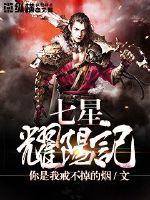 七星耀阳记封面